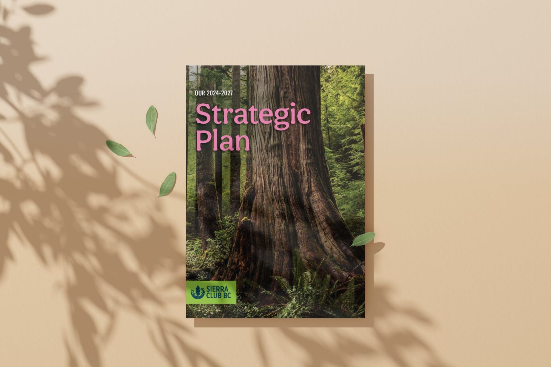 Our Strategic Plan (2024-2027)