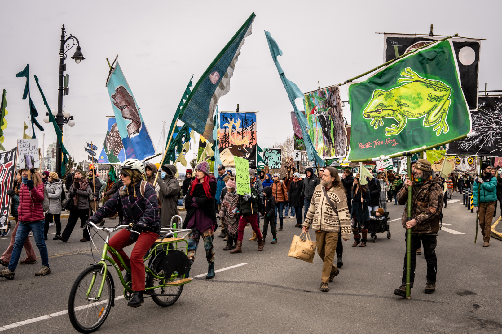 Reflecting on the United For Old-Growth March and Rally