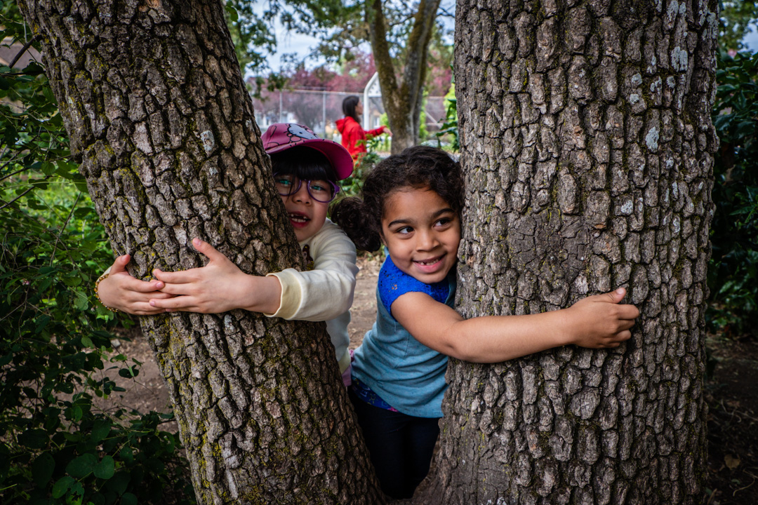 Diorama Activity: Urban Heat and Cooling your Community