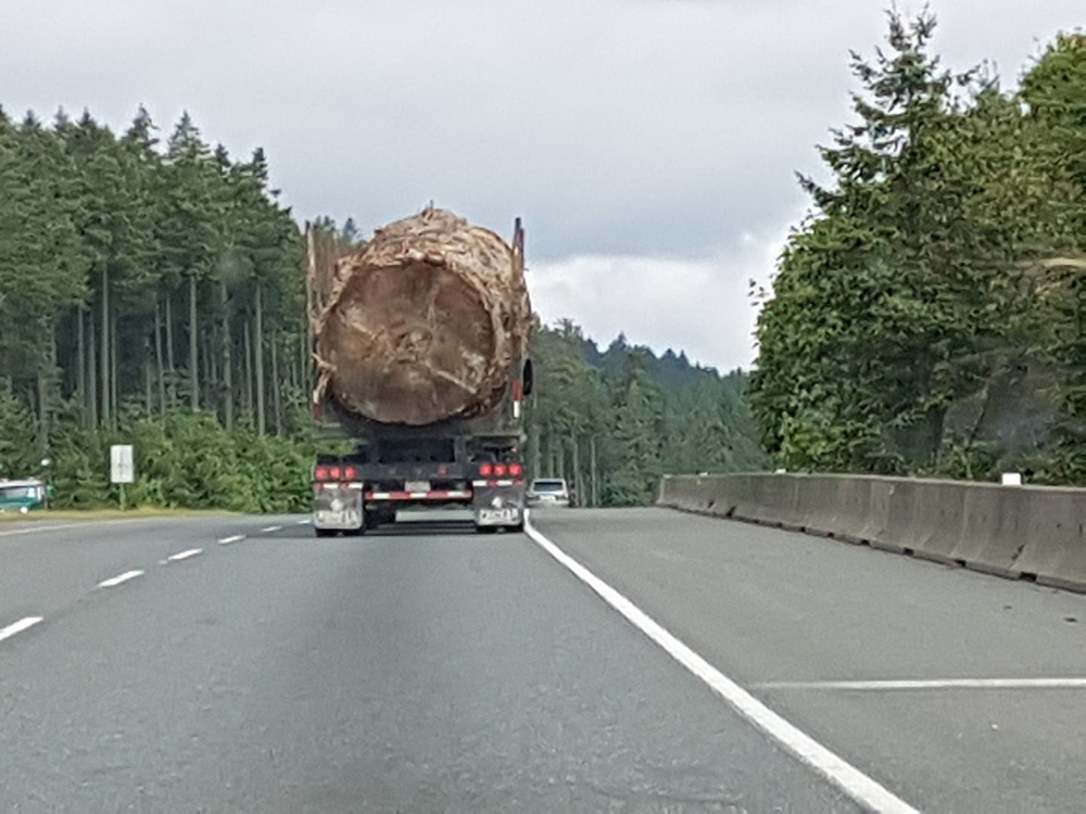 Sierra Club BC: Huge trees like the spruce in logging truck photo still without protection