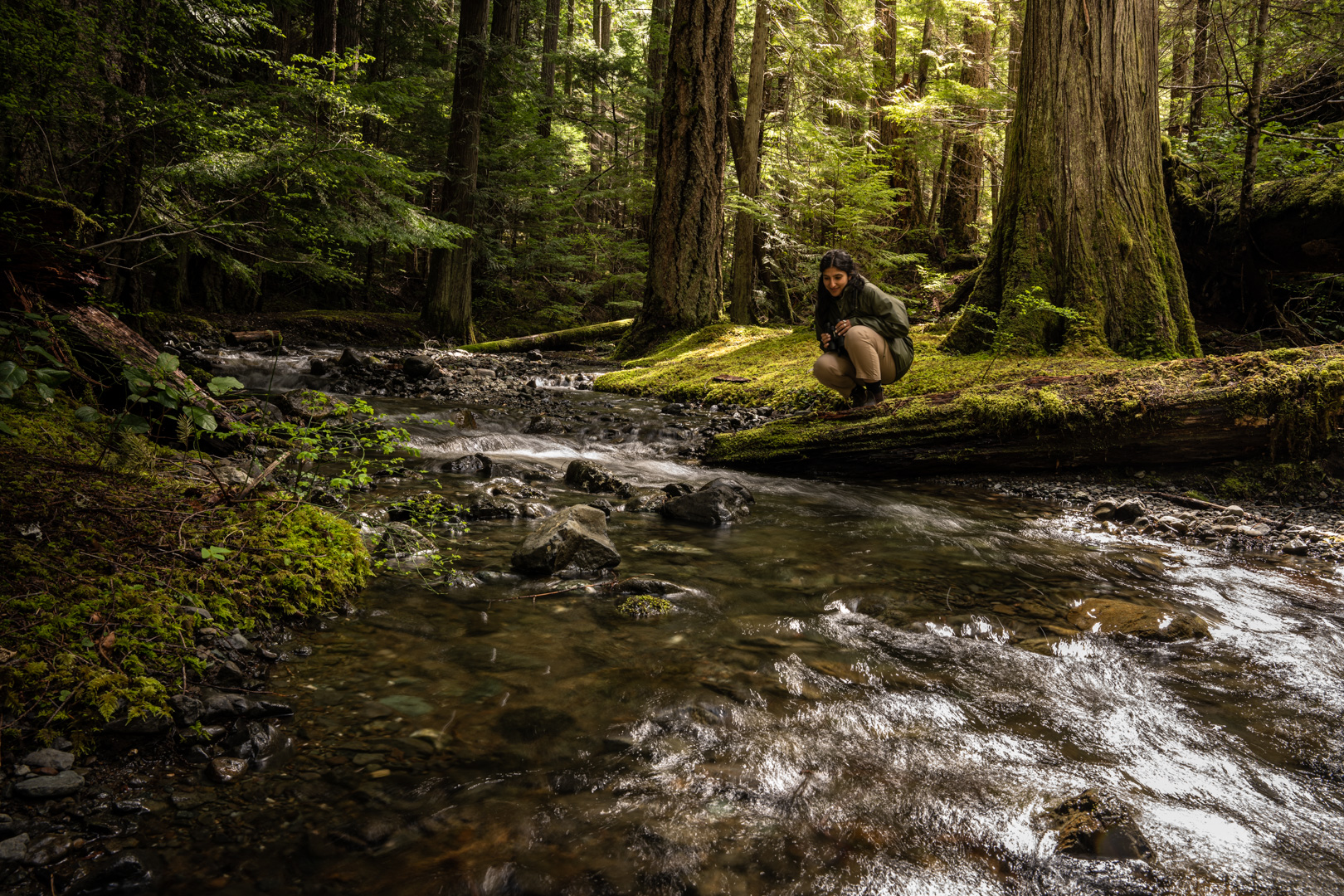 Open Letter: 88 groups support Biodiversity & Ecosystem Health Law