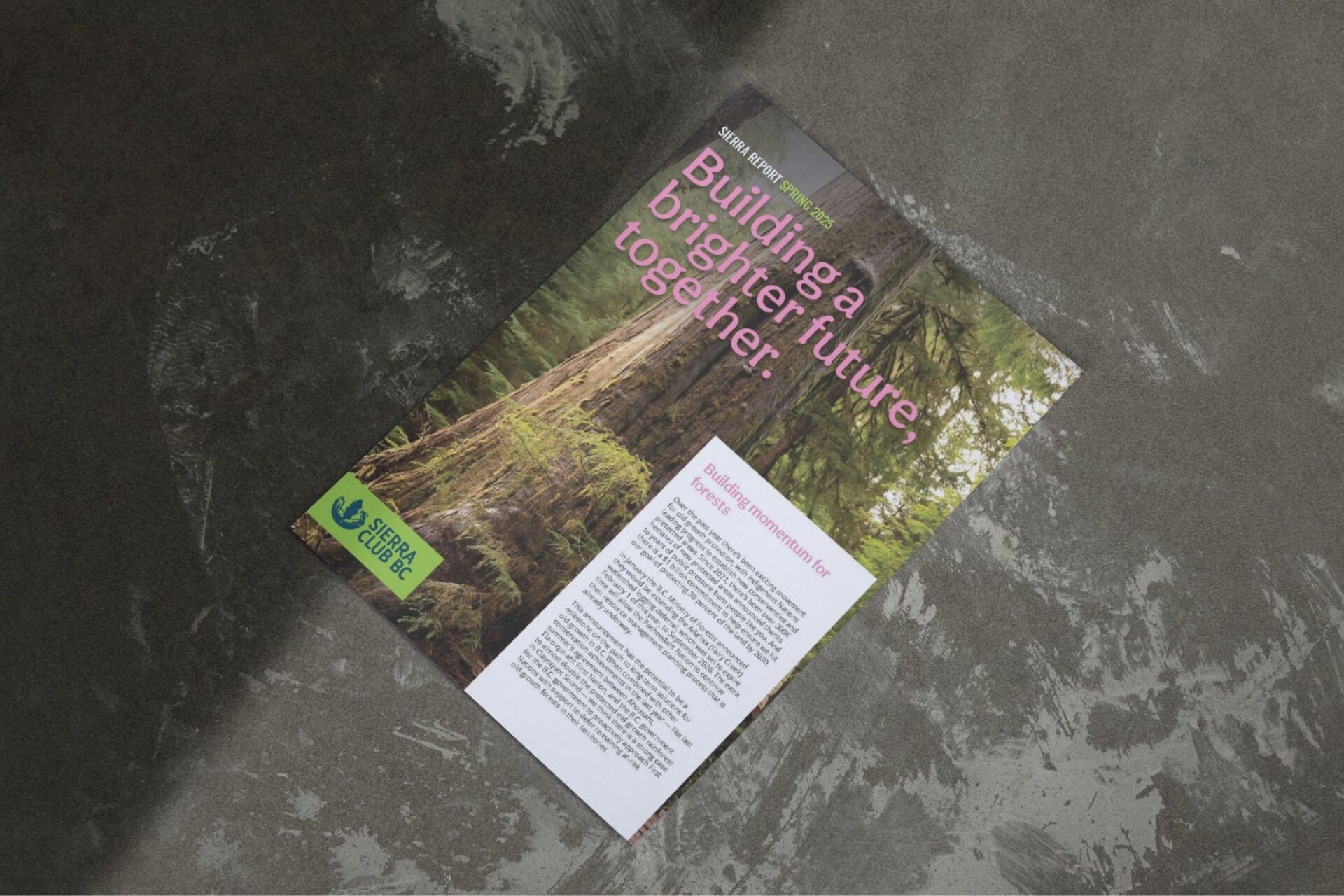 Spring Sierra Report 2025