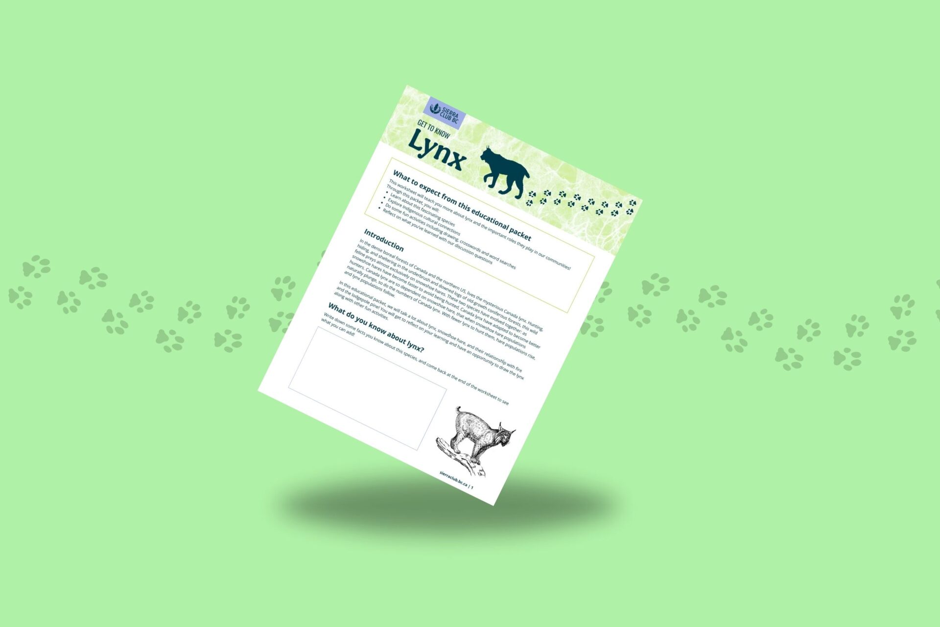 Educational Packet: Get to Know Lynx
