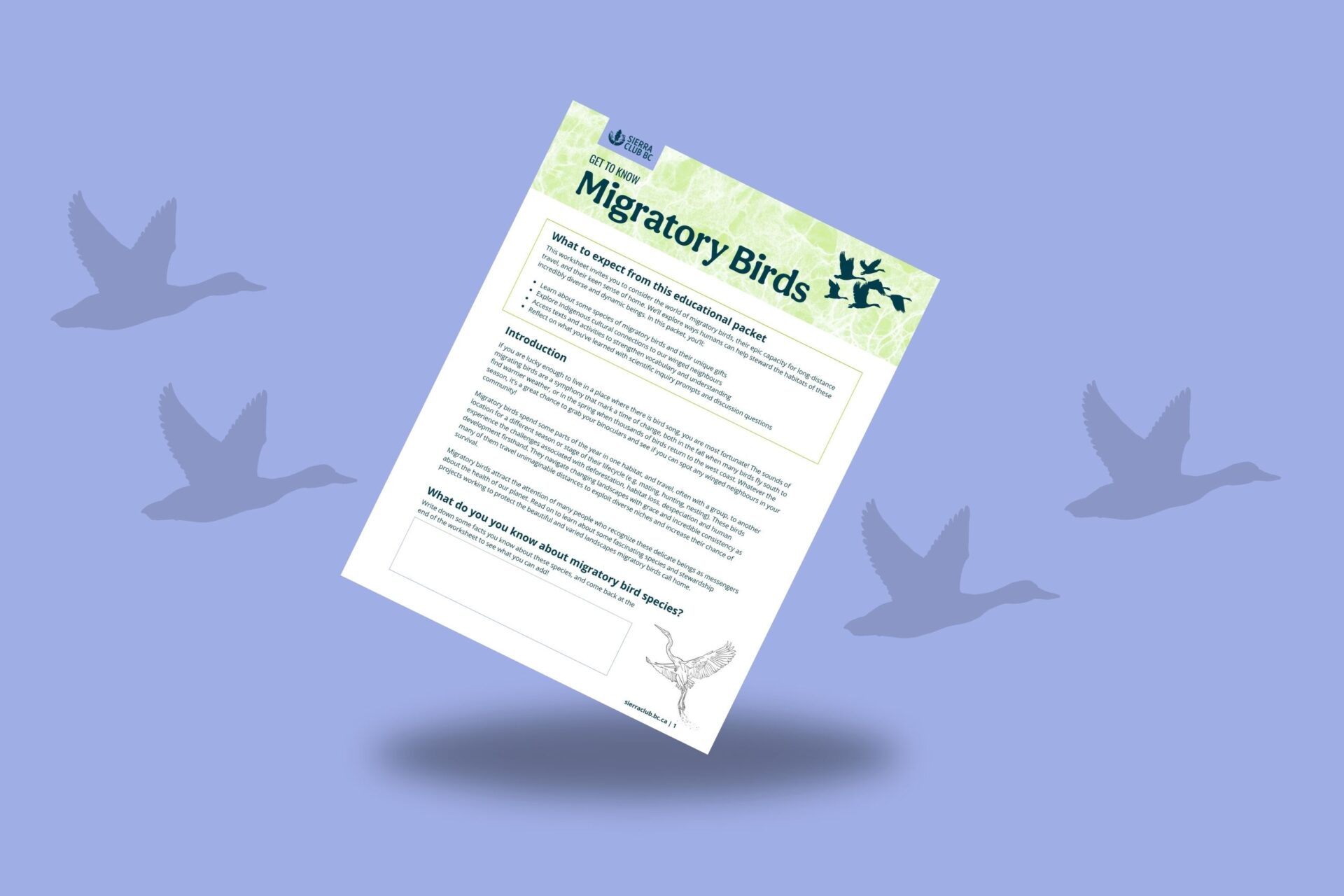 Educational Packet: Get to Know Migratory Birds