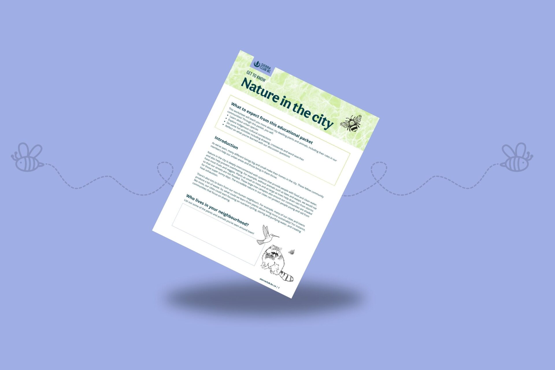 Educational Packet: Nature in the City