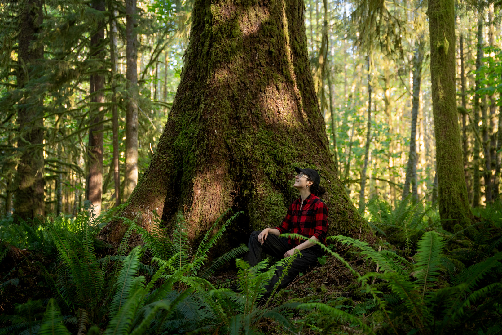 Here is what you need to know about BC’s latest forestry review