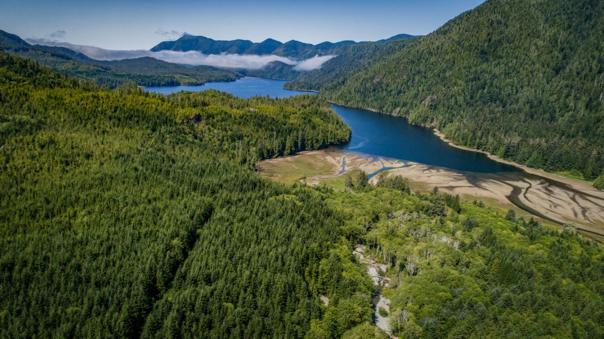 CleanBC review must address impact of losing the carbon tax