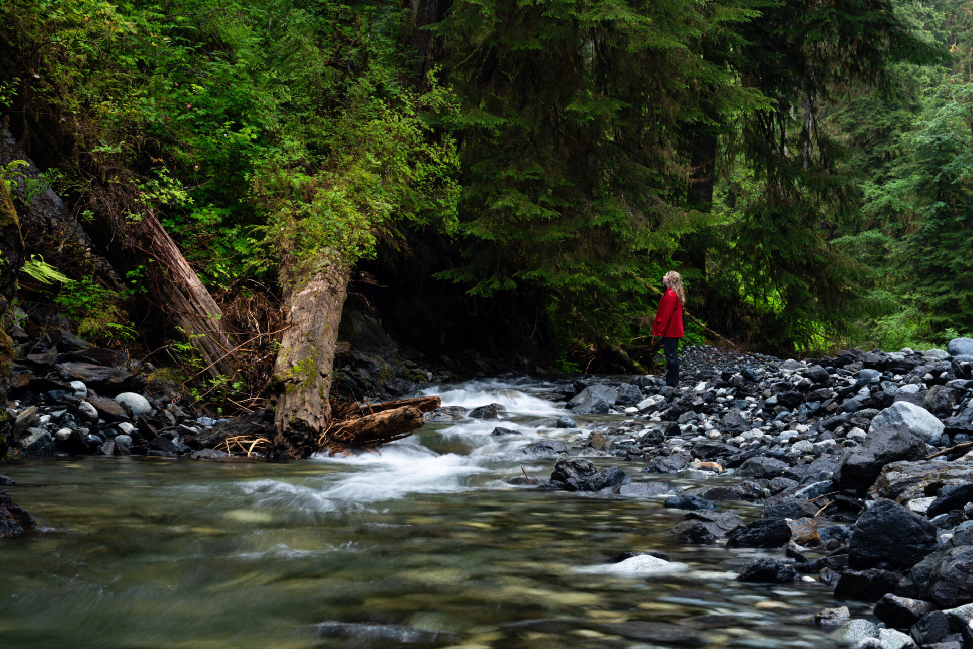 Sierra Club BC Reaction to Bill 15 Passing