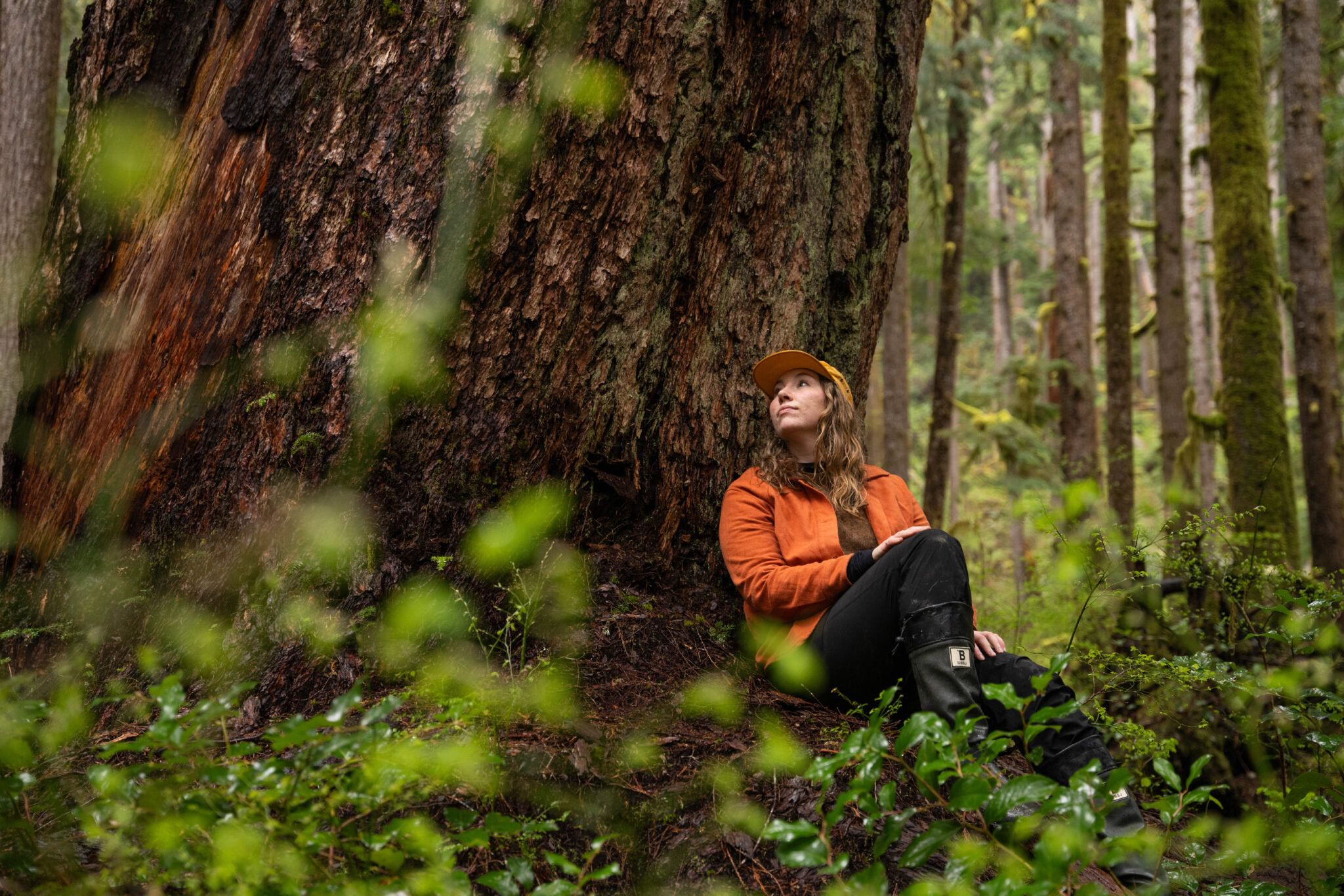 Mother Tree Local Leaders Program - Sierra Club BC