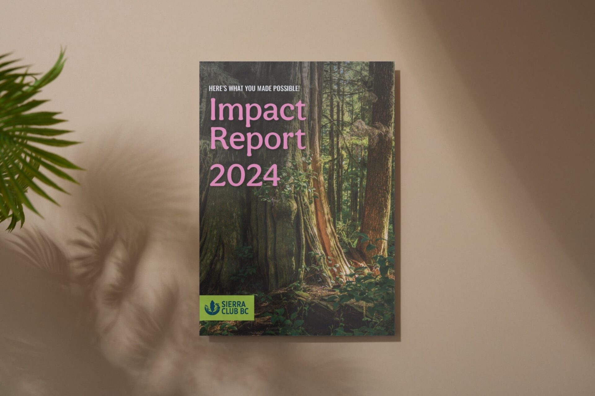 Our Annual Impact Report 2024