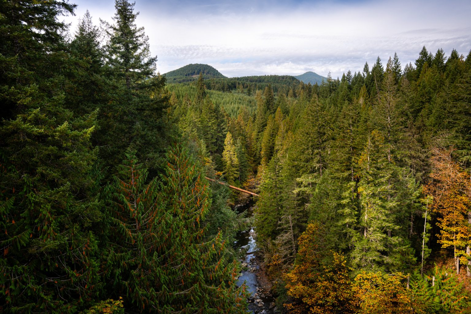 Sierra Club BC reaction to B.C. Throne Speech