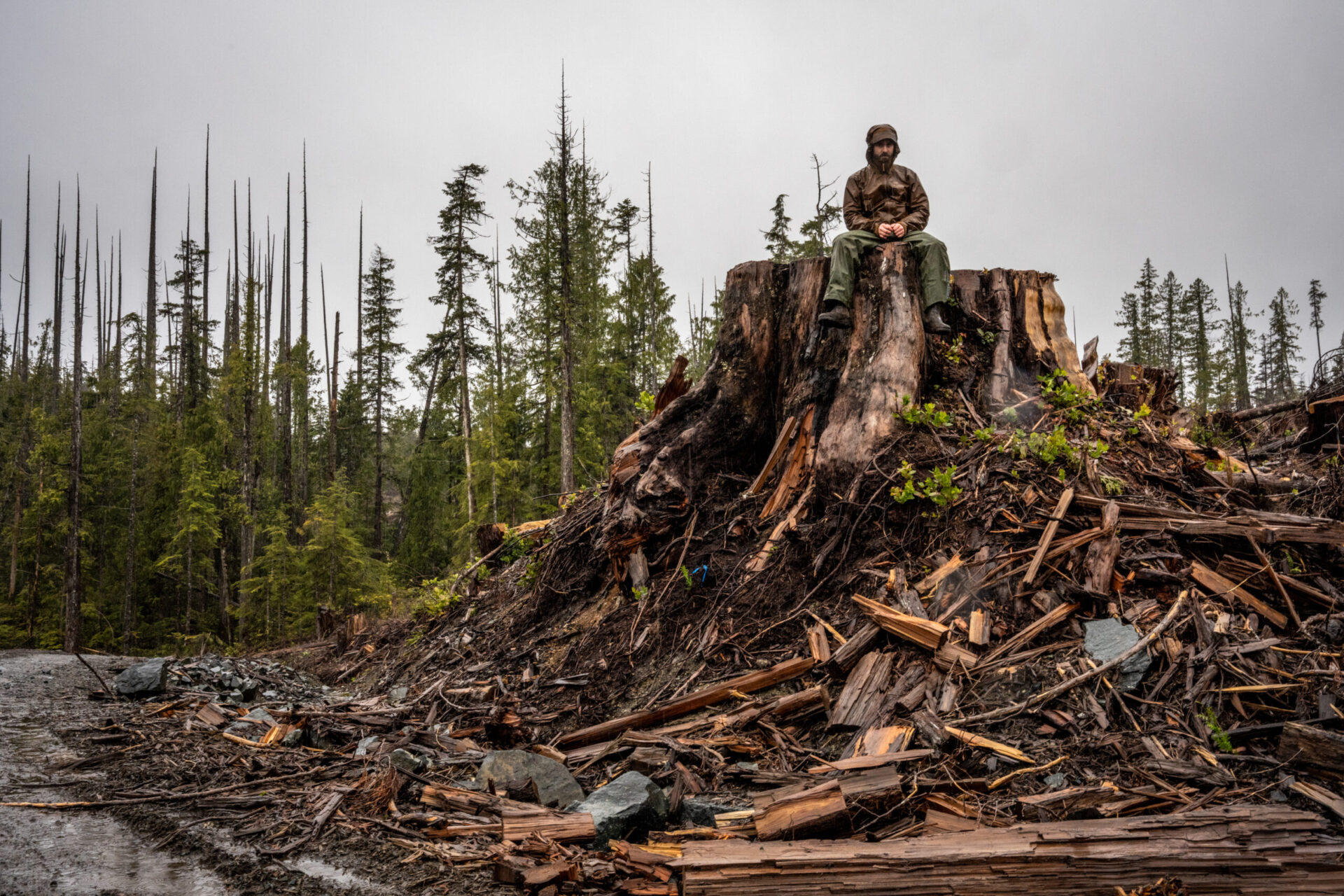 Critical report shows current BC logging practices increase climate disaster risks for BC communities