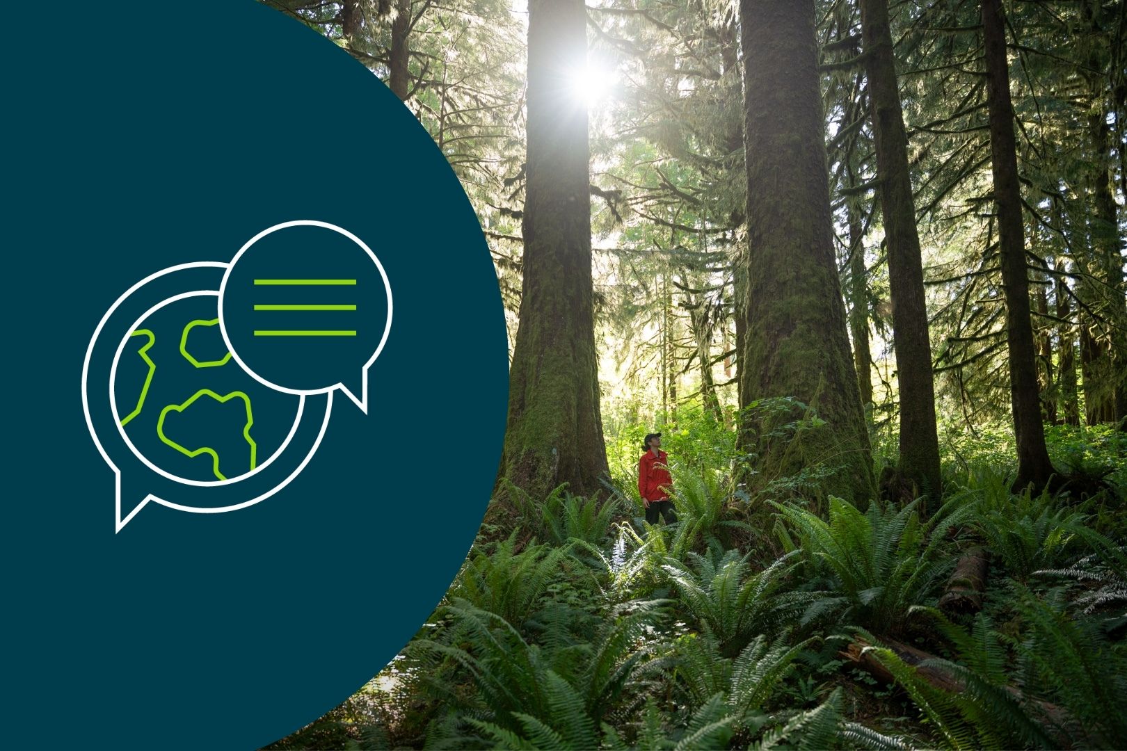 January’s Environmental News Digest (2026)