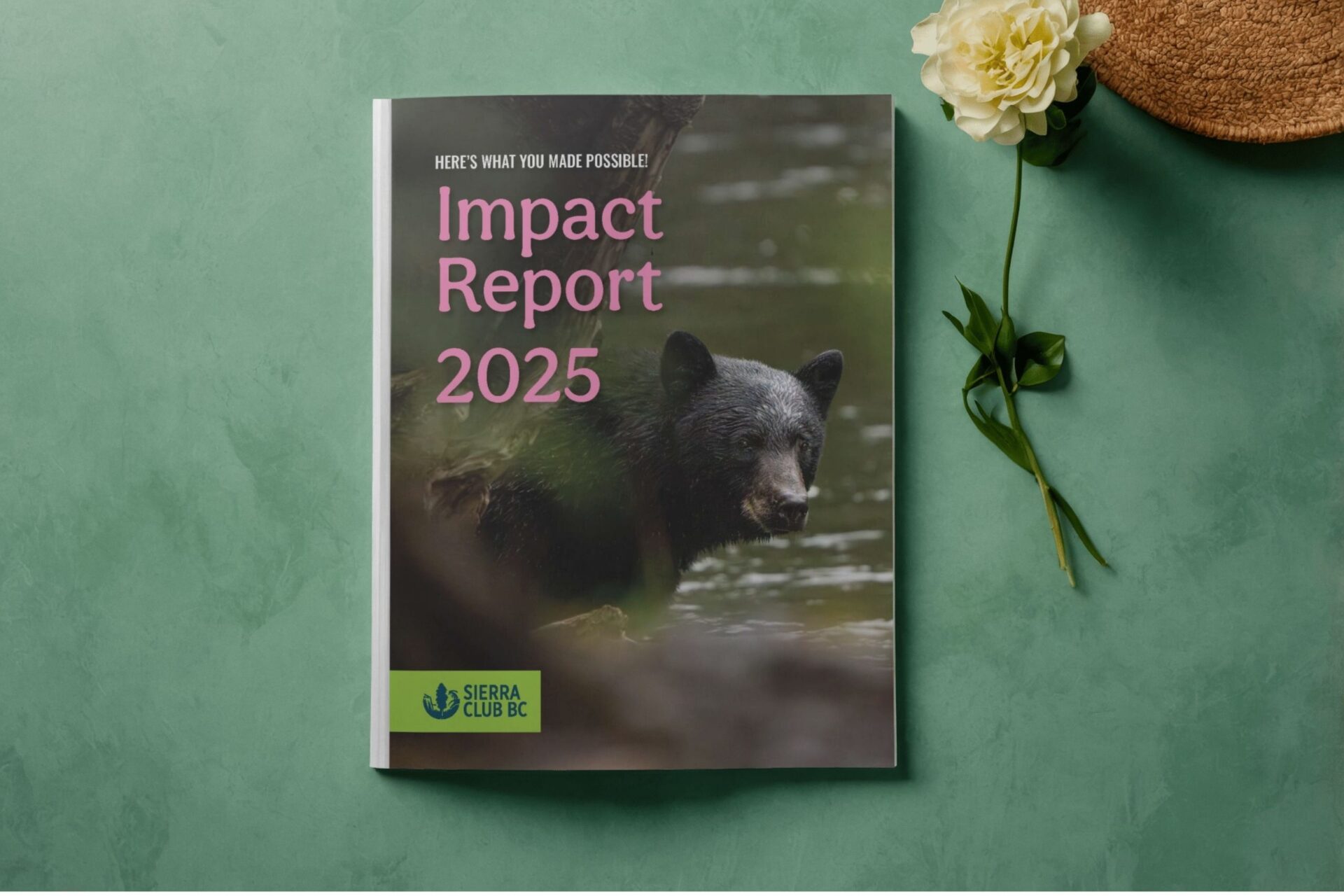 Our Annual Impact Report 2025