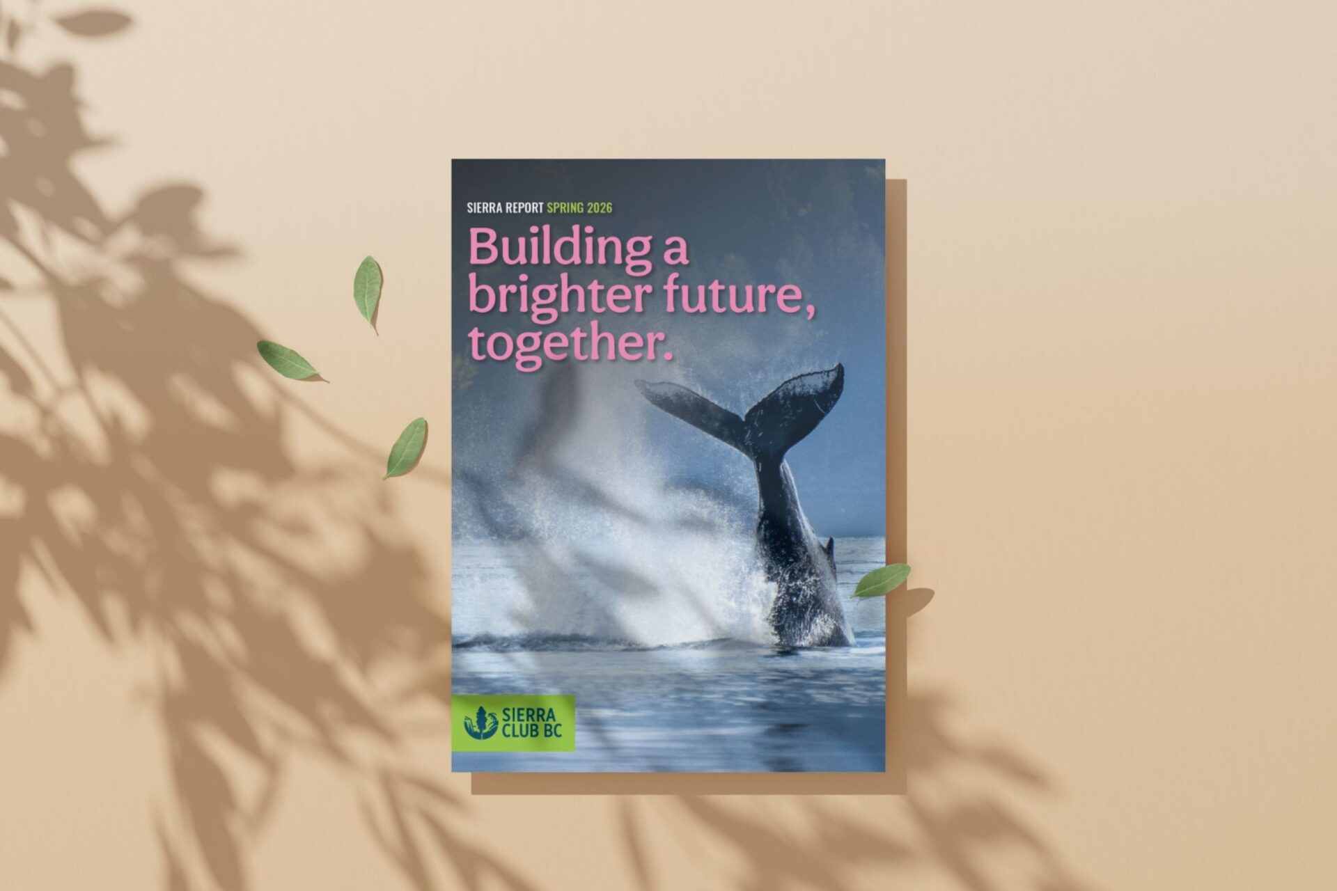 Spring Sierra Report 2026