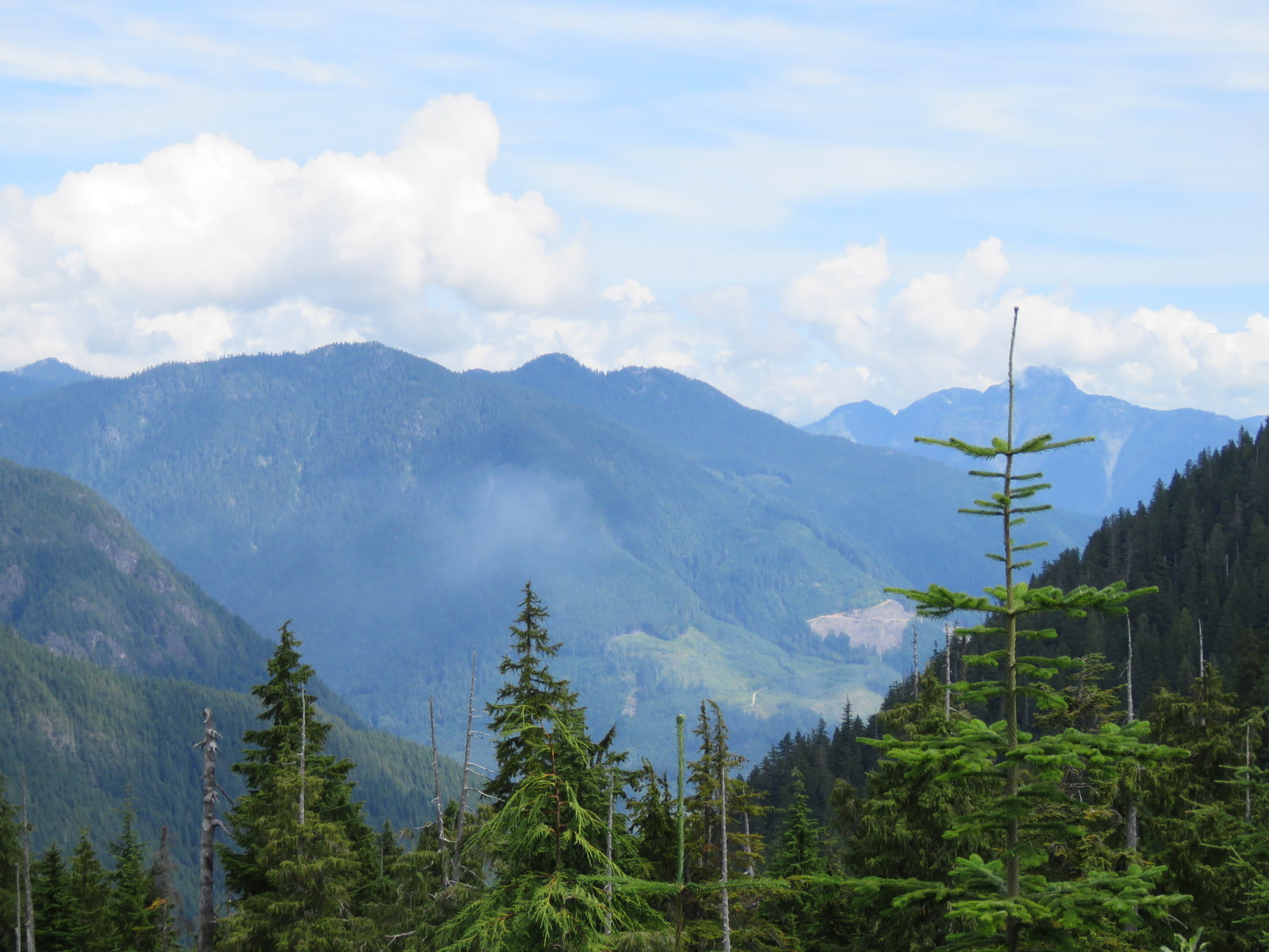 Watershed under stress: Clearcuts, drought and local leadership on the Sunshine Coast