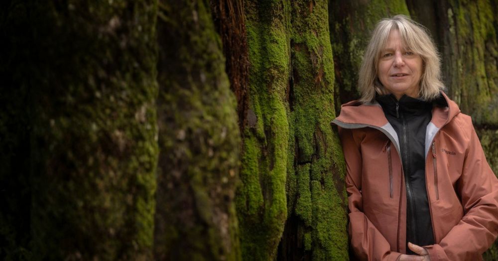 When the forest breathes: A conversation with Suzanne Simard