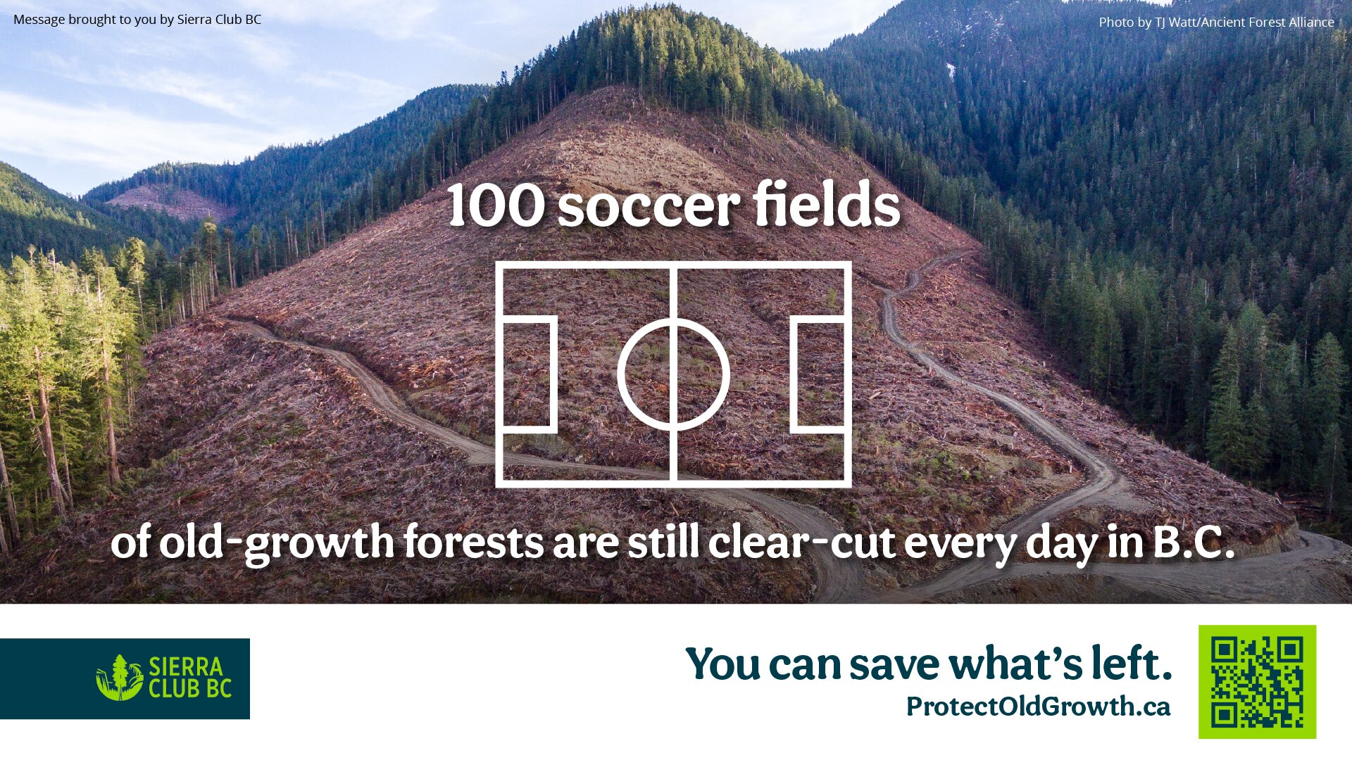 Media Advisory: Sierra Club BC launches old growth ad campaign to coincide with FIFA World Cup in Vancouver